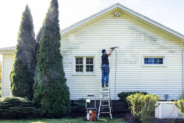 Best Exterior Home Cleaning  in Vernonia, OR